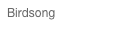 Birdsong